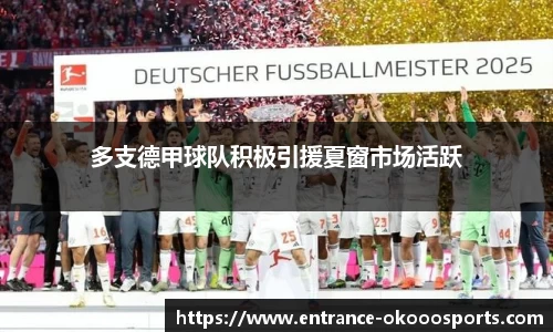 多支德甲球队积极引援夏窗市场活跃