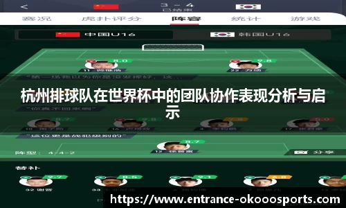 杭州排球队在世界杯中的团队协作表现分析与启示