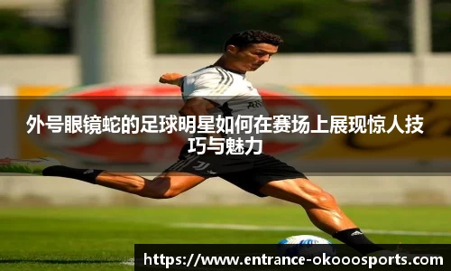 okooo澳客网官网